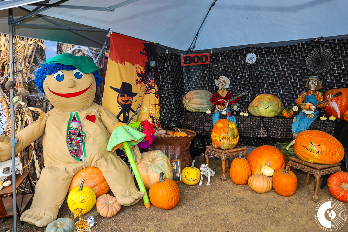 Campground Pumpkins