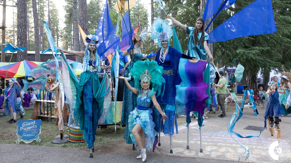 Team Blue Stilts